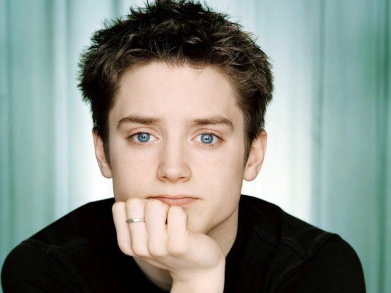 Elijah Wood Vermögen