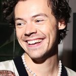 Harry Styles Vermögen