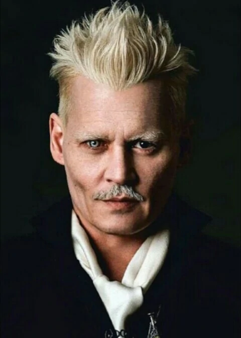Grindelwald Harry Potter Wiki